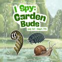 I-Spy: Garden Buds