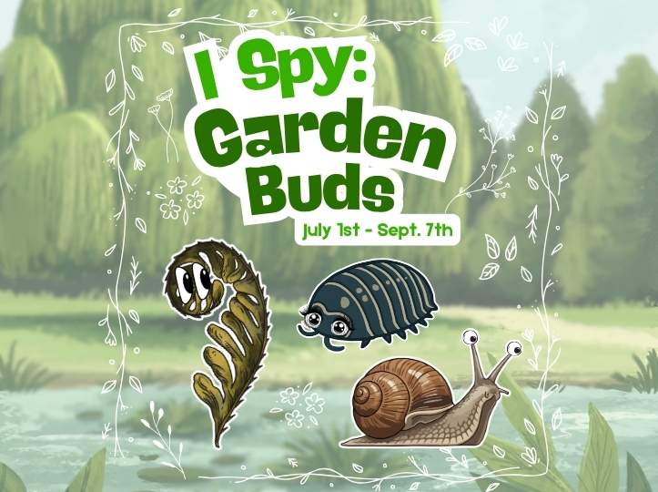 I-Spy: Garden Buds