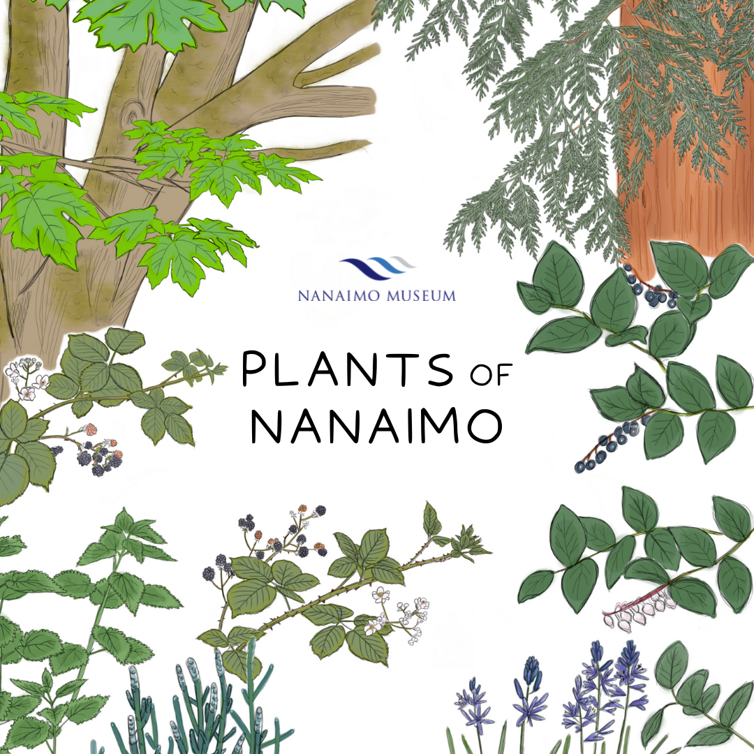 Plants of Nanaimo June 2023