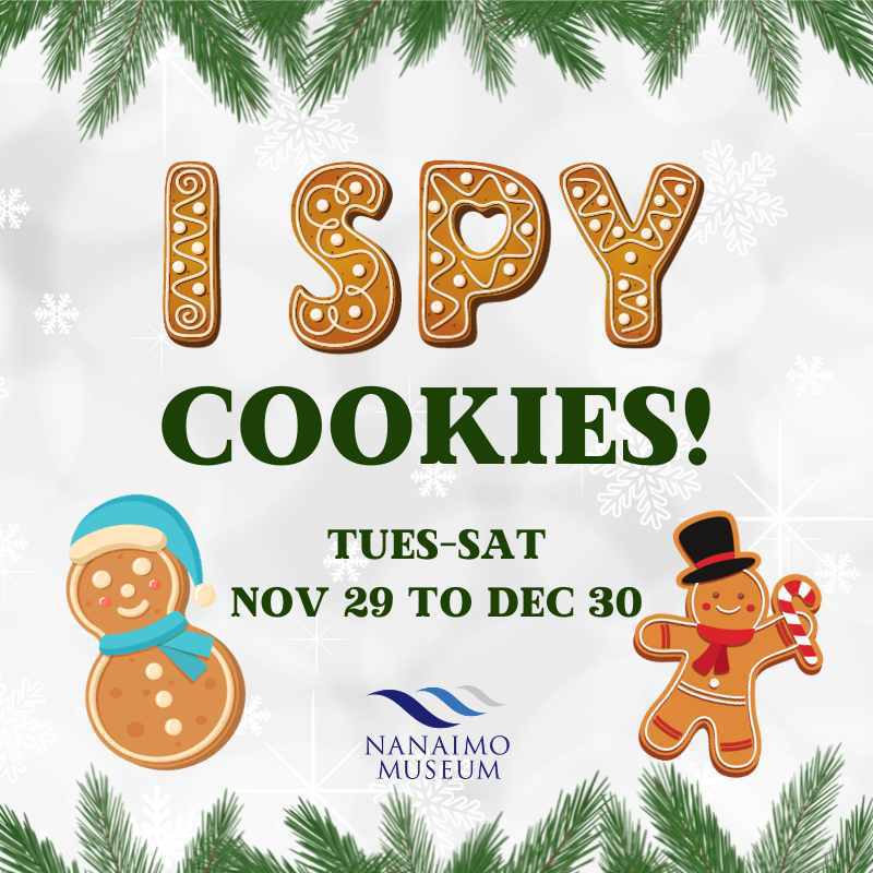 December I-Spy: Cookies!
