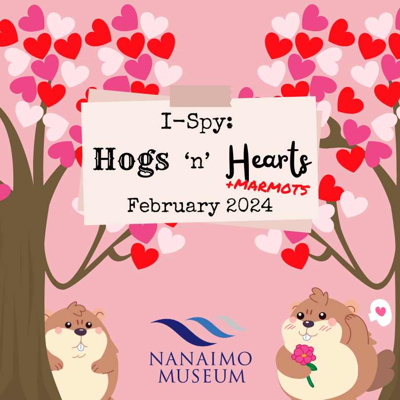 I-Spy: Hogs 'n' Hearts
