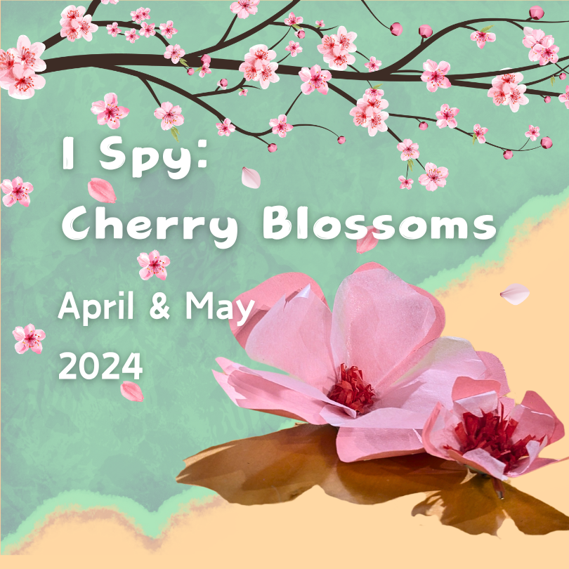 I-Spy: Cherry Blossoms