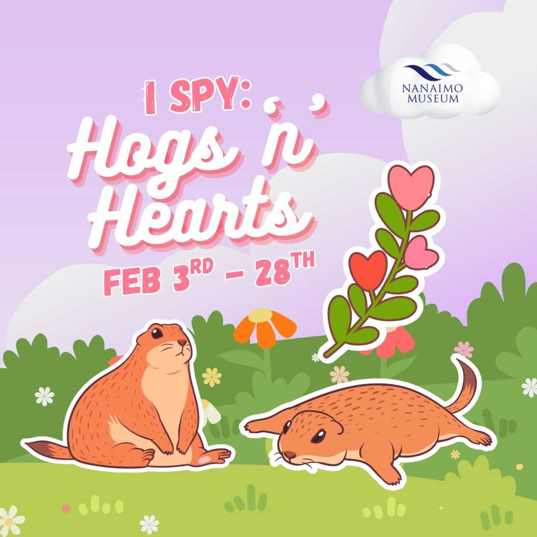 I-Spy: Hogs & Hearts